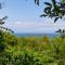 Rambler Cottage, a delightful cottage, Hope Cove, South Devon a stones throw from the beach - Hope Cove