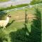 Hampton Inn Caryville-I-75/Cove Lake-State Park