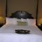 Hampton Inn Canton