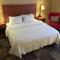 Hampton Inn Garden City - Garden City