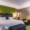 Hampton Inn Niagara Falls/ Blvd - Ниагара-Фолс