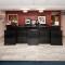 Hampton Inn & Suites McComb