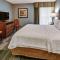 Hampton Inn & Suites Pigeon Forge On The Parkway - Pigeon Forge