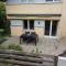 Apartment Riedwiese