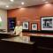 Hampton Inn Rochester-Webster