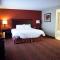 Hampton Inn Rochester-Webster