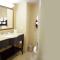 Hampton Inn Rochester-Webster