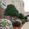 Hampton Inn Shreveport-Airport