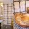 Luxurious bastidon with swimming pool and jacuzzi