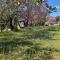 Luxurious bastidon with swimming pool and jacuzzi