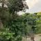Floral Homestay