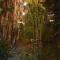 Private Nature Retreat w/Brick Oven & Hiking