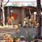 Dream of Africa Bush Lodge
