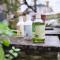 Love's World B&B - Ji'an