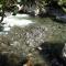 Chalet al lado del rio Pance