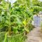 Fire Pit and Grill at Pet-Friendly Port Isabel Home! - Port Isabel