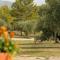 Camping rural la Masia - Cocentaina