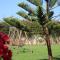 Appt 22 Bloc G- Hicherraton plage Residence Bella Vista, BOUZNIKA BAY
