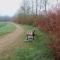 Gîte familial - Plouguenast Langast