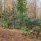 Peaceful Mountain Cabin - Well Stocked - Fire Pit - Flat Driveway - Central Location! - Blowing Rock