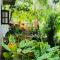Sigiri Lakshan Home Stay