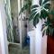 Apartman Juga