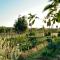 Tenuta Di Paternostro