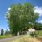 Gîte ferme équestre avec piscine - Castex