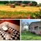 Stylish Farm House