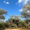 Ondudu Safari Lodge - Omaruru