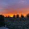 ID Glamping De Coude Scheure