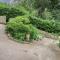 Cedar Gardens
