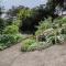 Cedar Gardens