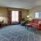 Hilton Garden Inn Indianapolis Airport