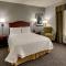 Hampton Inn & Suites Indianapolis-Airport - Indianapolis