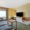 Hilton Garden Inn Orlando Lake Buena Vista - Orlando