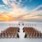 Hilton Marco Island Beach Resort and Spa - جزيرة ماركو
