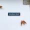 Swallows Drift at Rosewyn - 纽基