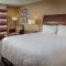 Hilton Garden Inn St. Louis Airport