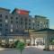 Hilton Garden Inn San Antonio/Rim Pass Drive