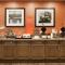 Hampton Inn and Suites Snyder