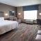 Hampton Inn and Suites at Wisconsin Dells Lake Delton - Wisconsin Dells