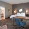 Hampton Inn and Suites at Wisconsin Dells Lake Delton