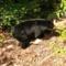 5 miles to Smokies! Stunning views! Hot Tub Pool Table Arcades 2 fireplaces! Quiet and Private - Sevierville