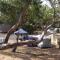 Bimbi Park - Camping Under Koalas