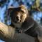 Bimbi Park - Camping Under Koalas - Cape Otway