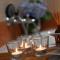 Apartmani Lucija