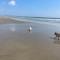 Harmony House enclosed property near beach and lake - Tramore