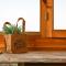 Le Parc des Oliviers Ecolodge