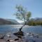 Bay Tree Cottage - Caernarfon